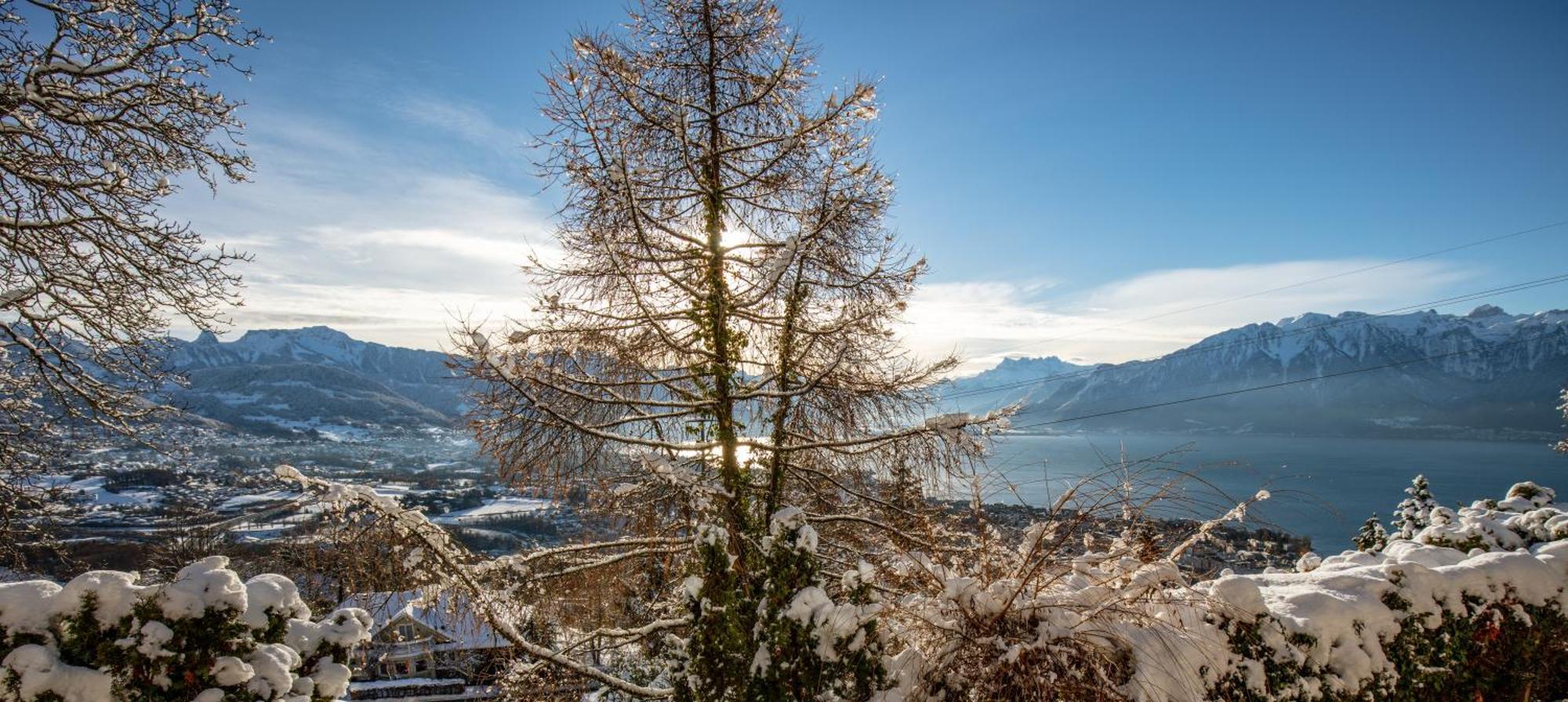 Le Toit De Chardonne - Entre Alpes Et Lac Leman ภายนอก รูปภาพ